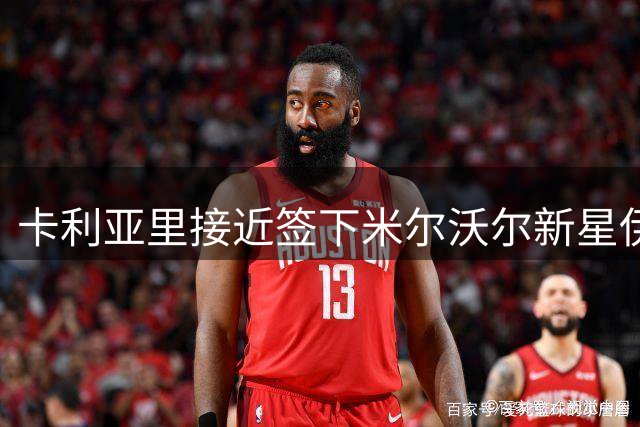 卡利亚里接近签下米尔沃尔新星伊万诺维奇