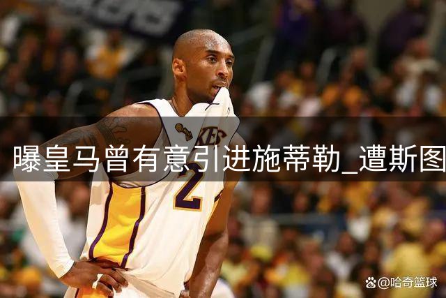 曝皇马曾有意引进施蒂勒 遭斯图加特5000万欧高价阻拦